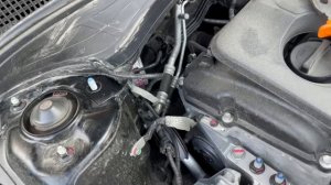 Амортизаторы капота на Kia Cerato 2.0 (2021 г.в.) установка!