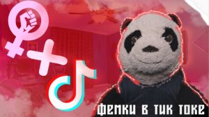 ТУПЫЕ ФЕМКИ В ТИК ТОКЕ