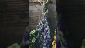 условное голодание по методике Оганян