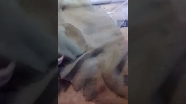 Новогодняя елка своими руками. Из подручных средств. Мастер класс. DIY