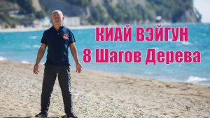 КИАЙ ВЭЙГУН

Ритмы Шагов Стихий. Дерево.