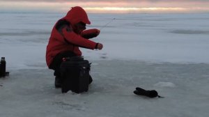 Зимняя рыбалка на Финском заливе в районе Репино