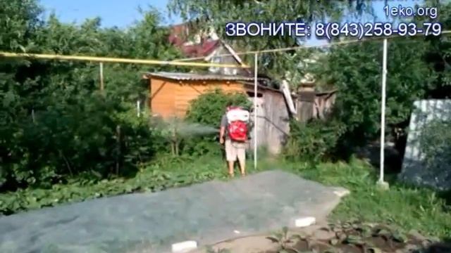 Уничтожение комаров на участке смотреть онлайн