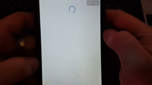 ДраCoin ожил после сбоя. Всё на месте, яйца упали в цене, зашёл и поднял смотреть онлайн