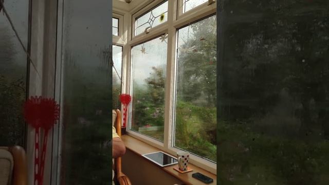 Alfreton Tornado filmed from house in Mansfield Road