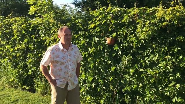 Как укрепить свою семью, и чем крепятся семьи смотреть онлайн