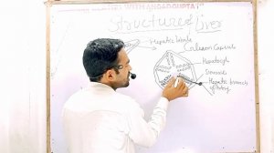 structure of liver। MSC and BSC। #structure of liver diagram #hepatic lobule #functions of liver