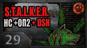 S.T.A.L.K.E.R. Народная солянка ОП-2 DSH мод #29. Меченый из наркокартеля.