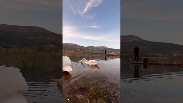 Немного красоты и отдыха ! Озеро Новое Кисловодск!!