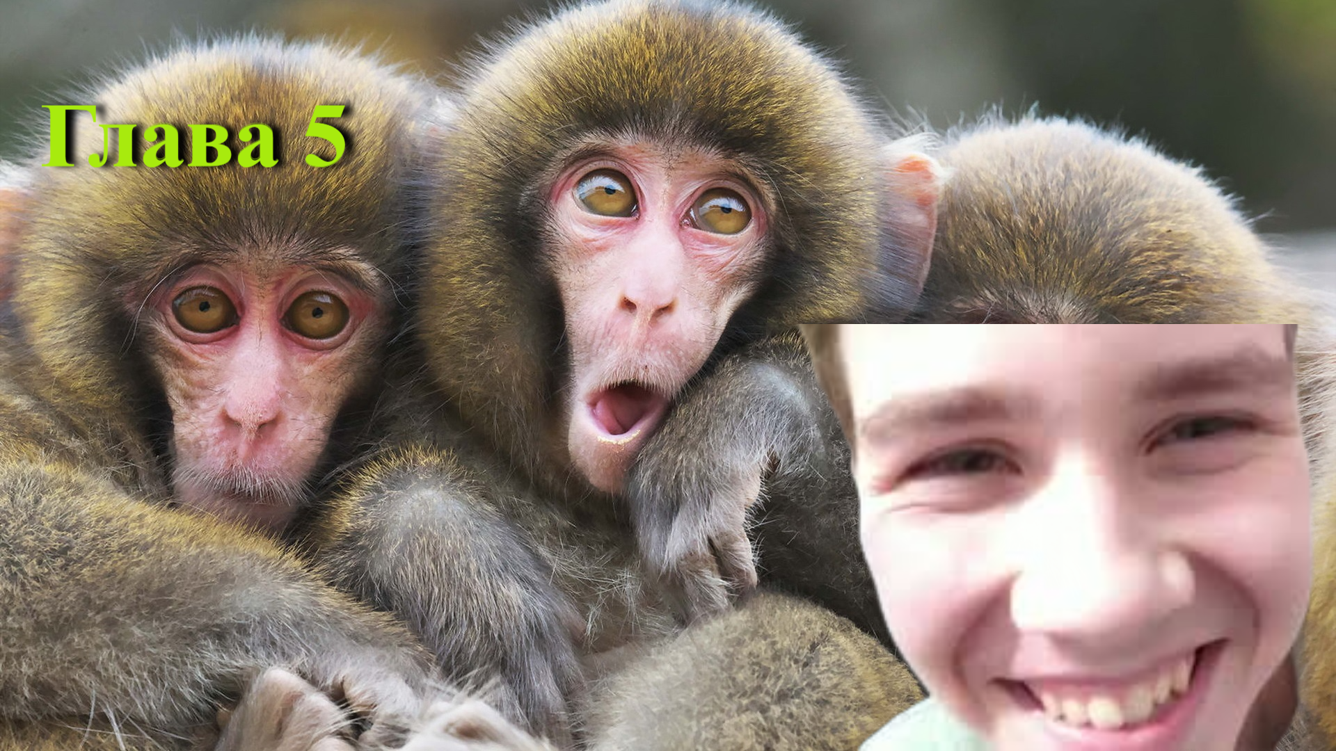 Глава 5 : Каменный век смотреть онлайн