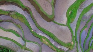 остров Комодо островная Индонезия 2k