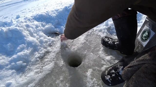 РАЗЛОВИЛ МЕСТО! НЕ УСПЕВ РАСПОЛОЖИТСЯ, ПОДСЕЧКА ОБРЫВ! И ВОТ ПЕРВАЯ РЫБИНА НА ЛЬДУ! МАРТОВСКИЙ ЖОР! смотреть онлайн