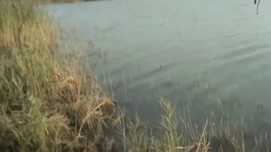 Рыбалка . Омская обл . Боголюбовка .