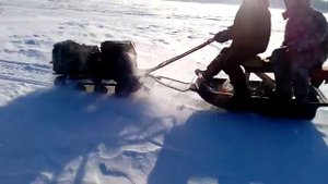 Мотобуксировщик Паксус Paxus в деле!!!