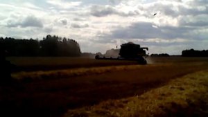 А24 | Сибирская Уборочная-2017: уборка пшеницы под Борково
