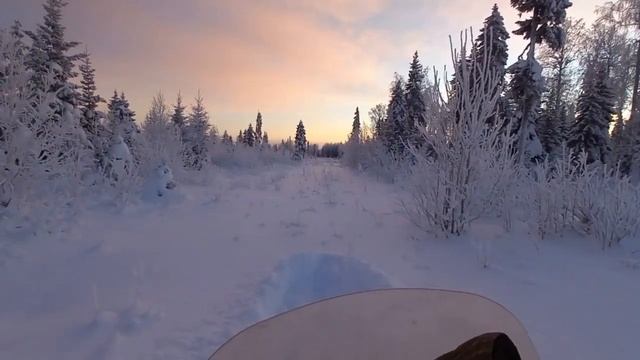 Охота на Лося. Но что-то пошло не так. смотреть онлайн