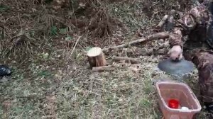 Наивкуснейшая шурпа, разные утки о. Серебряного о. Кунашир, пальчики оближешь....серия 2