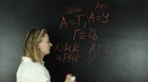 Принцип комплементарности