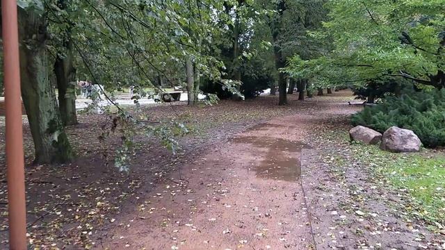 Осенний дождливый Калининград. Прогулка до острова Канта.