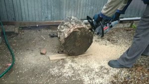 Бензопила Интерскол ПЦБ-18/52л пилит чурбак березы диаметром 45 см!