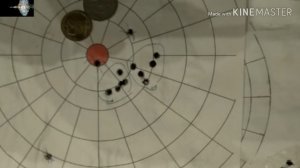 Полнотелые пули 5,5 ( продолжение мучений)