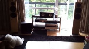 Dynaudio focus 220 and roksan kandy 2