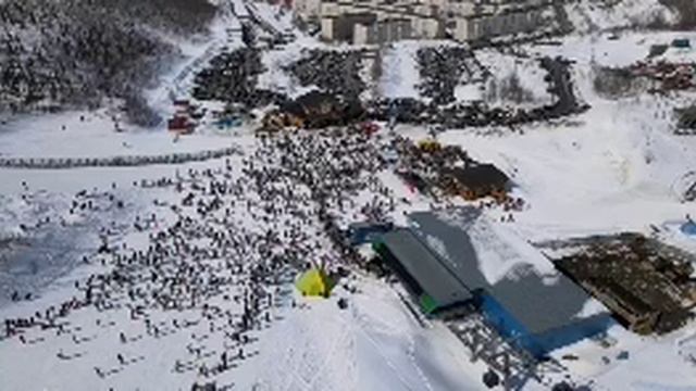 Фестиваль