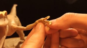 Sculpting PYRORAPTOR | Jurassic world dominion [ 2022 ]