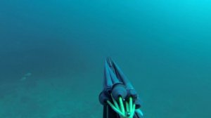 Подводная охота в Индийском океане с Михаилом Артамоновым