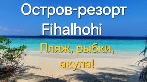 4 серия. Остров-резорт Fihalhohi. Пляж, рыбки, акула!