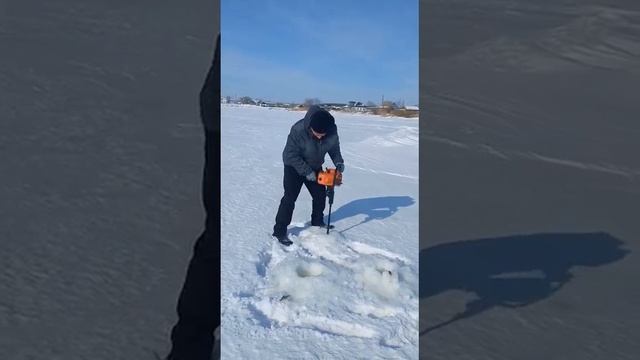 мотобур своими руками из бензопилы и старой советской дрели.