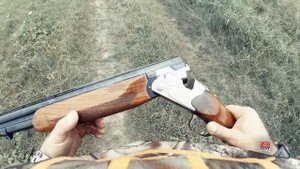 ?Лучшее ружье для охоты с собакой? Beretta sv10 perennia I?Обзор владельца