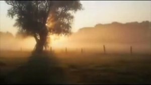 Природа  России.  Вечер