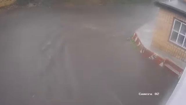 Спасение щенка смотреть онлайн