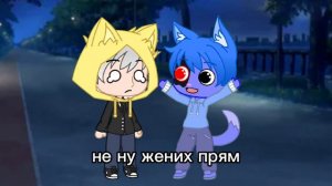 кошка Лана и её друзья отмечают 14 февраля