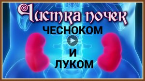 ЧИСТКА ПОЧЕК ЛУКОМ И ЧЕСНОКОМ.mp4