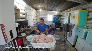 Самый быстрый забой бройлеров?! 3 минуты на голову