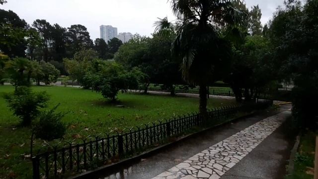 Дендрарий Сочи Нижний Парк