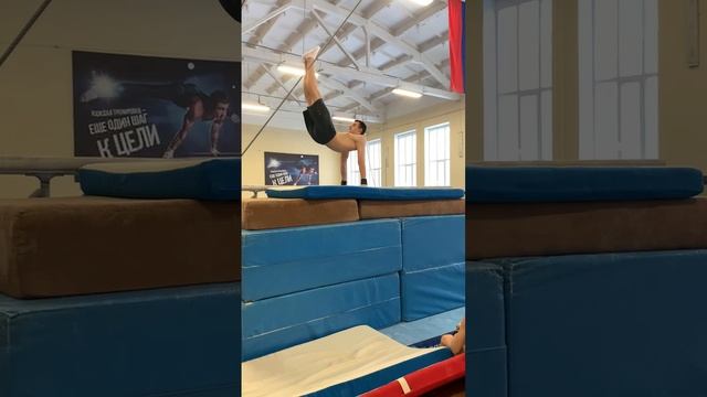 Секция спортивной гимнастики