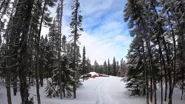 2021 Expedition 900 Ace Turbo - Sledding in Labrador March 2022 смотреть онлайн