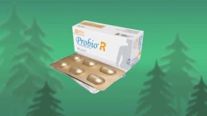 Probio r capsule bangla | probio r square | probio r এর কাজ কি