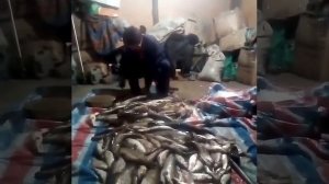 Муж пришёл с рыбалки, а жена плачет