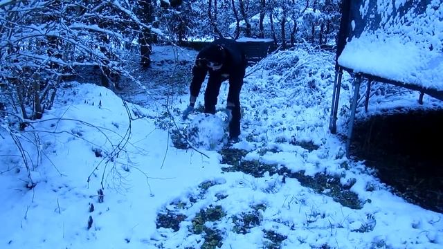 Зима в Германии. Выпал снег впервые за три года. смотреть онлайн