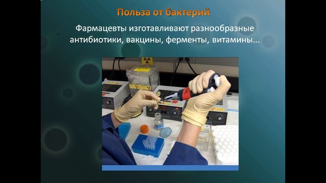 БАКТЕРИИ 3 класс смотреть онлайн