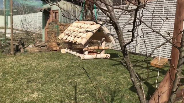 Кормим птичек! | Покупаем кормушку!