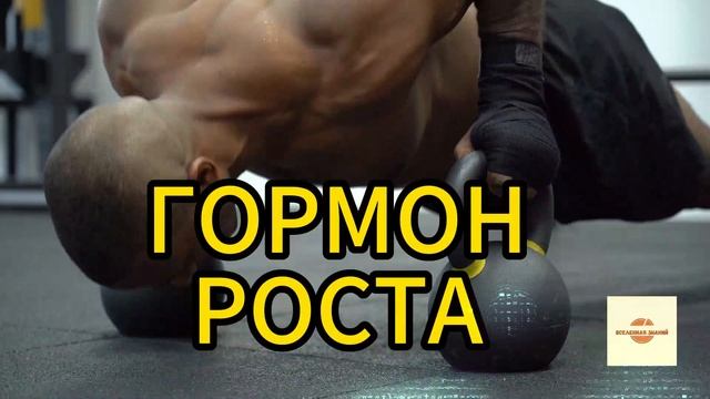 046 гормон роста