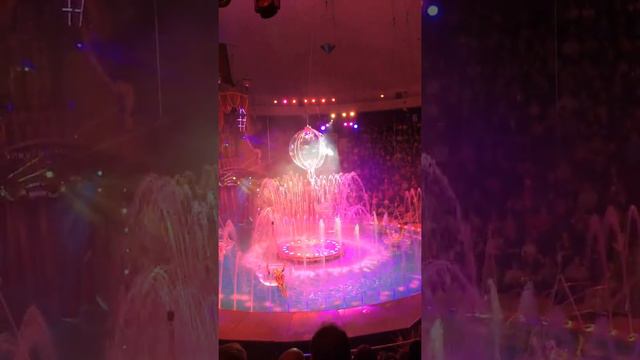 ЦЫРК/Шевченко шоу смотреть онлайн