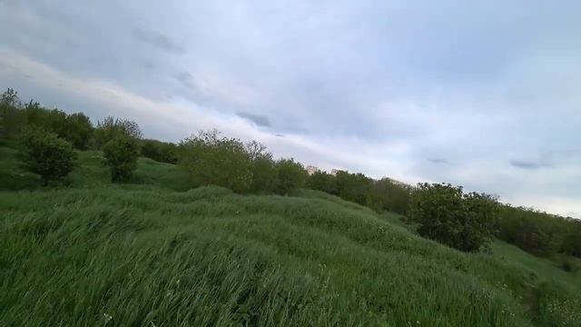 Серж Дур-Дачник. Майские Красоты Повседневья. Весна. Вечер 10 мая 2021 год. смотреть онлайн