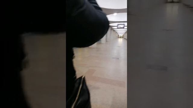 Обзор Новосибирского метро станции Гарина Михайловского?
