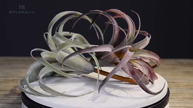 Wholesale price artificial plant small succulent air plant faux Tillandsia for home decoration смотреть онлайн